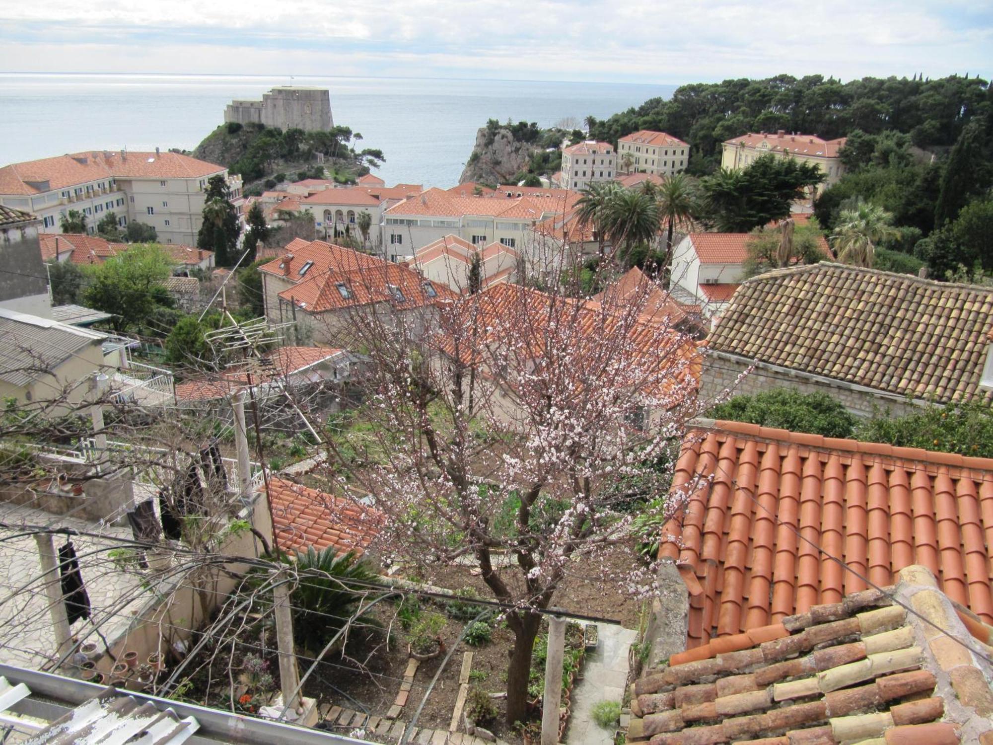 Room & Apartment Saint John Dubrovnik Exterior foto